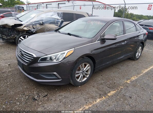 5NPE24AF1GH339941 2016 HYUNDAI SONATA Brown Vista tres cuartos delantera izquierda