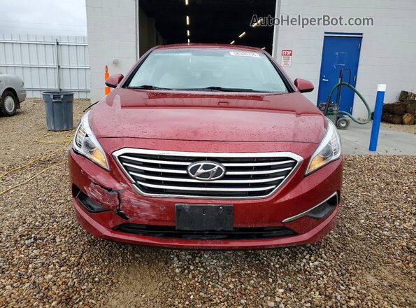 5NPE24AF1GH348235 2016 HYUNDAI SONATA Maroon Դիմացի տեսք