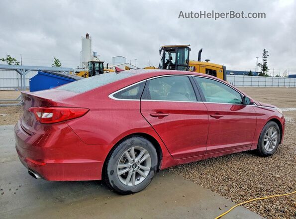 5NPE24AF1GH348235 2016 HYUNDAI SONATA Maroon Հետևի աջ