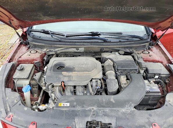 5NPE24AF1GH348235 2016 HYUNDAI SONATA Maroon Սալոնի հետևի տեսք