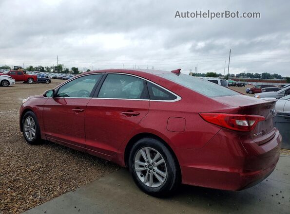 5NPE24AF1GH348235 2016 HYUNDAI SONATA Maroon Հետևի ձախ