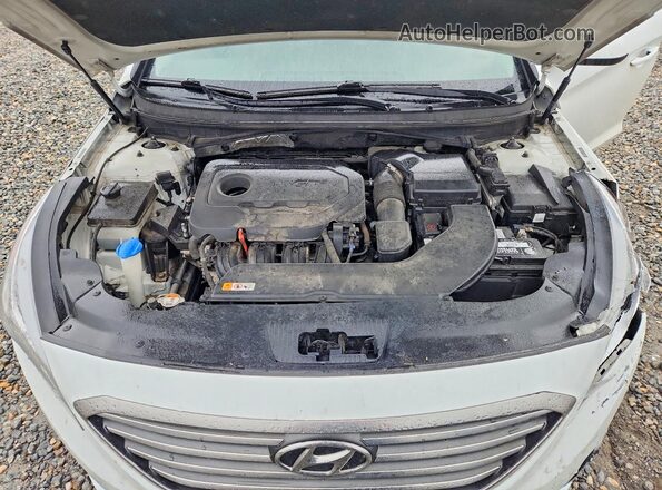 5NPE24AF1GH358358 2016 HYUNDAI SONATA White Rear interior view