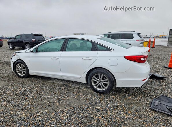 5NPE24AF1GH358358 2016 HYUNDAI SONATA White Rear left