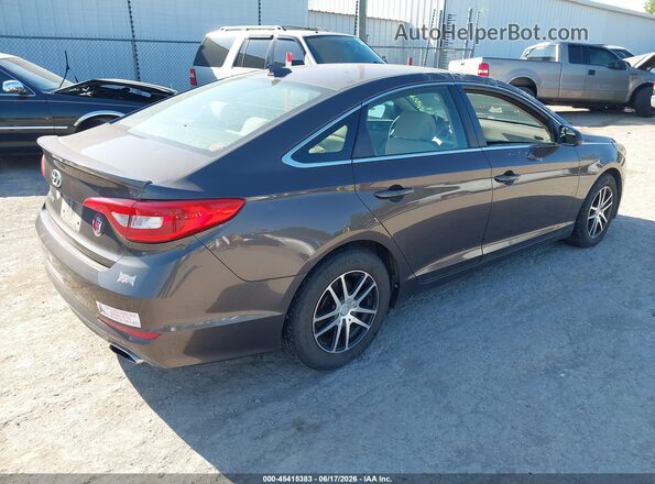 5NPE24AF1GH392686 2016 HYUNDAI SONATA Brown 