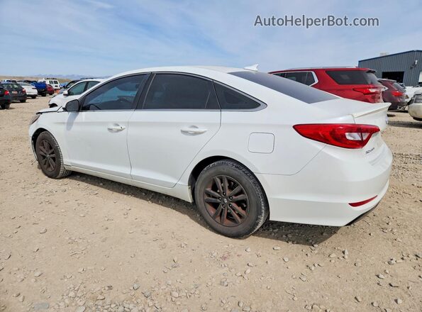 5NPE24AF1HH569805 2017 HYUNDAI SONATA Белый Задняя левая четверть