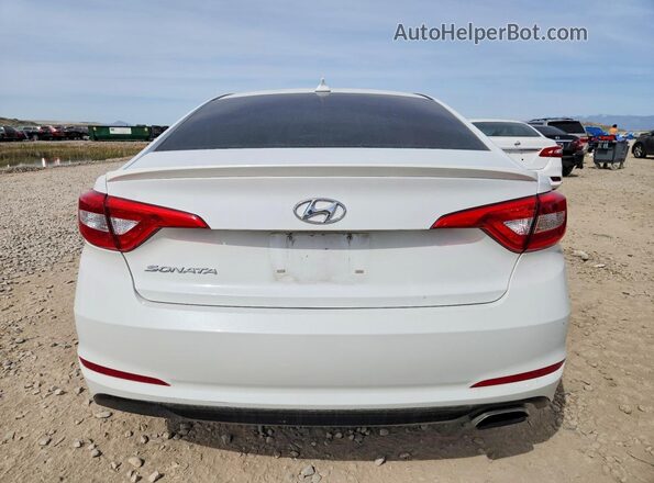 5NPE24AF1HH569805 2017 HYUNDAI SONATA Белый Вид сзади