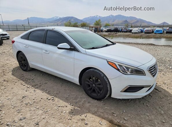 5NPE24AF1HH569805 2017 HYUNDAI SONATA Белый Передняя правая четверть