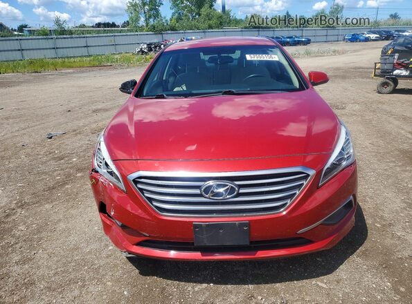 5NPE24AF1HH576169 2017 HYUNDAI SONATA Красный 