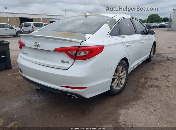 5NPE24AF2GH274176 2016 HYUNDAI SONATA Белый Задняя правая четверть