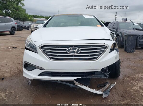 5NPE24AF2GH274176 2016 HYUNDAI SONATA Белый Вид задней части салона