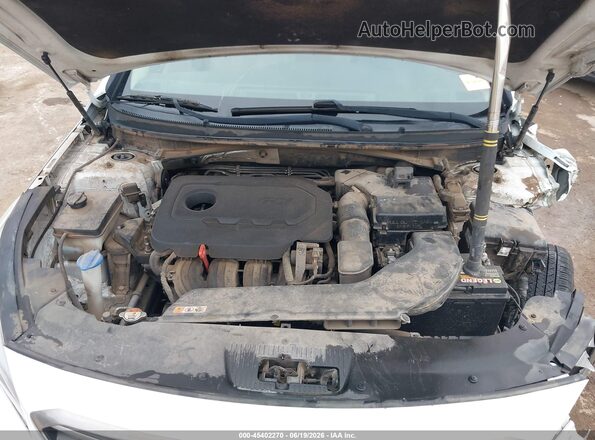 5NPE24AF2GH274176 2016 HYUNDAI SONATA Белый Вид сзади