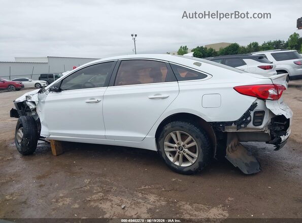 5NPE24AF2GH274176 2016 HYUNDAI SONATA Белый 