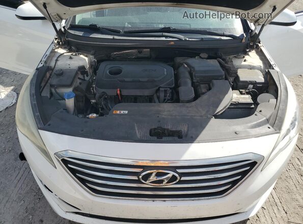 5NPE24AF2GH297392 2016 HYUNDAI SONATA White უკანა სალონის ხედი