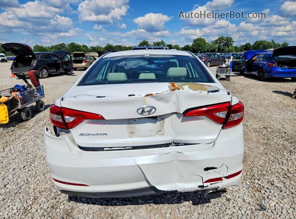 5NPE24AF2GH314255 2016 HYUNDAI SONATA White უკანა ხედი