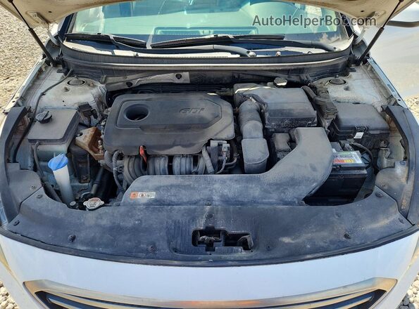 5NPE24AF2GH314255 2016 HYUNDAI SONATA White უკანა სალონის ხედი