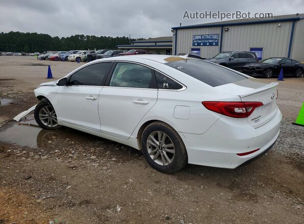 5NPE24AF2GH358868 2016 HYUNDAI SONATA Белый 