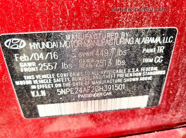 5NPE24AF2GH391501 2016 HYUNDAI SONATA Бордовый Вид наклейки с VIN-кодом