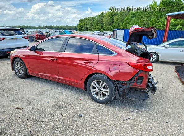5NPE24AF2GH391501 2016 HYUNDAI SONATA Бордовый Задняя левая четверть