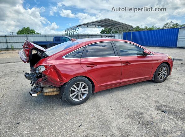 5NPE24AF2GH391501 2016 HYUNDAI SONATA Бордовый Задняя правая четверть