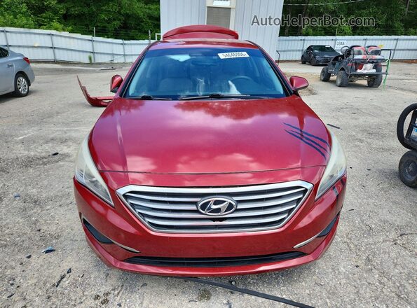 5NPE24AF2GH391501 2016 HYUNDAI SONATA Бордовый Вид спереди