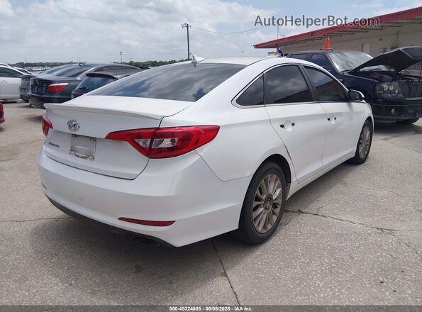 5NPE24AF2GH400973 2016 HYUNDAI SONATA Белый Задняя правая четверть