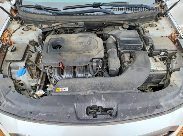 5NPE24AF3GH291682 2016 HYUNDAI SONATA White Вид задньої частини салону