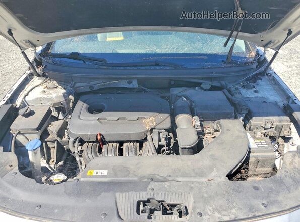 5NPE24AF3GH295277 2016 HYUNDAI SONATA Серебряный Вид задней части салона