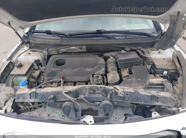 5NPE24AF3GH355350 2016 HYUNDAI SONATA White უკანა ხედი