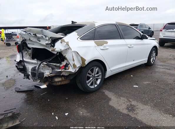 5NPE24AF3GH374688 2016 HYUNDAI SONATA White Trasero derecho