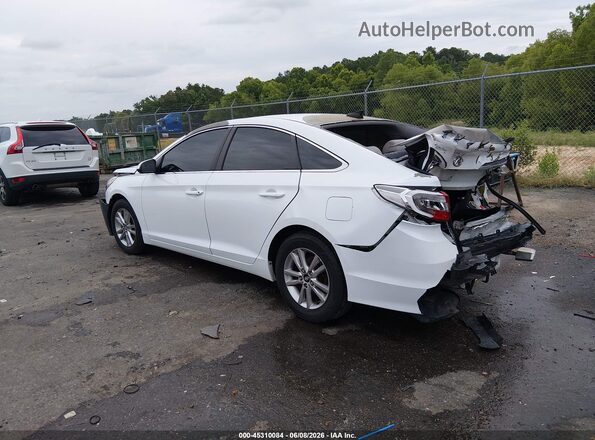 5NPE24AF3GH374688 2016 HYUNDAI SONATA White Trasero izquierdo