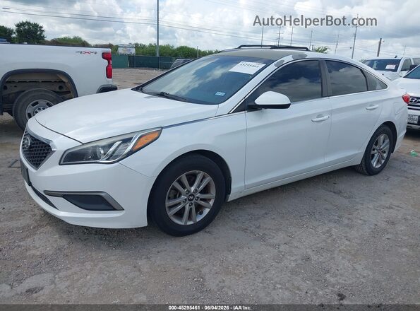 5NPE24AF3GH393466 2016 HYUNDAI SONATA Белый 