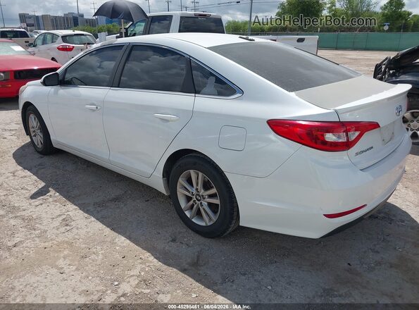 5NPE24AF3GH393466 2016 HYUNDAI SONATA Белый 