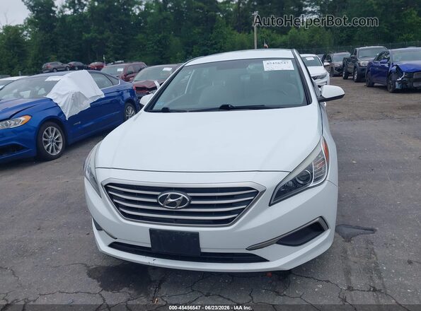 5NPE24AF3GH404613 2016 HYUNDAI SONATA White Vista interior trasera