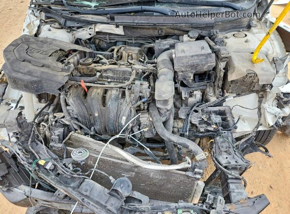 5NPE24AF3KH737905 2019 HYUNDAI SONATA White უკანა სალონის ხედი