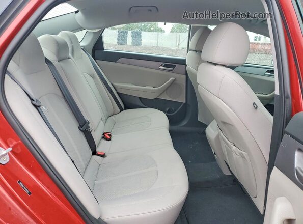 5NPE24AF3KH780656 2019 HYUNDAI SONATA Red Rear seats view