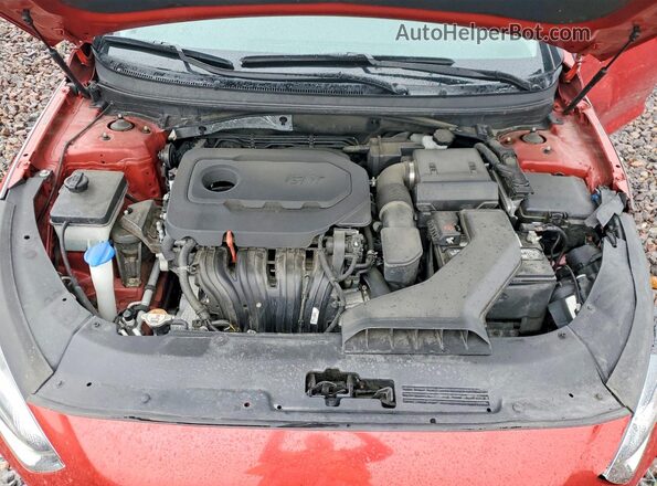 5NPE24AF3KH780656 2019 HYUNDAI SONATA Red Rear interior view
