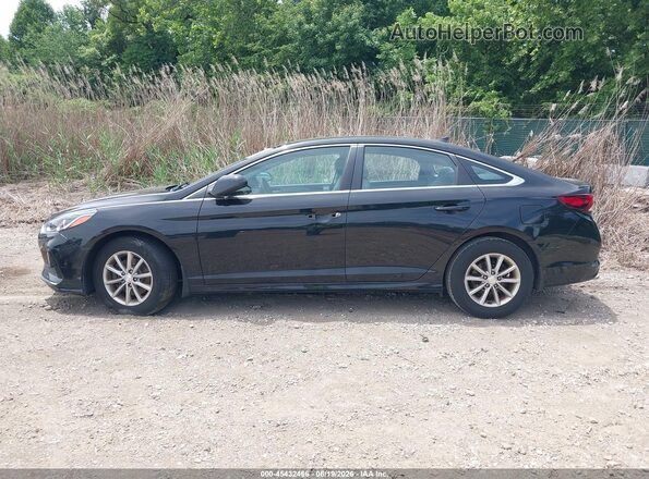 5NPE24AF3KH812683 2019 HYUNDAI SONATA Black უკანა სალონის ხედი