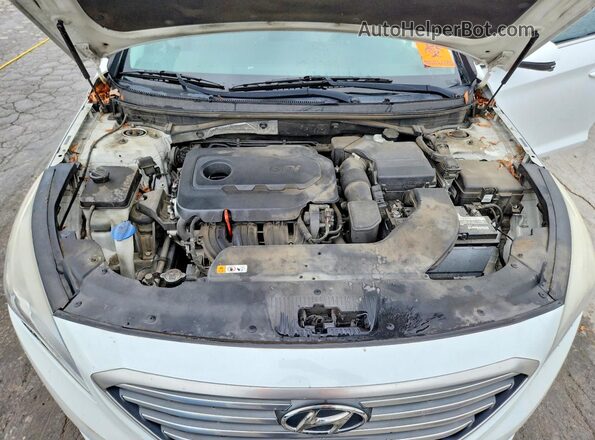 5NPE24AF4GH289665 2016 HYUNDAI SONATA White Widok wnętrza z tyłu
