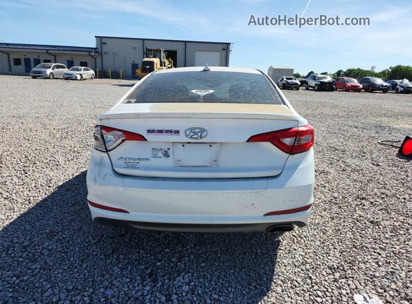 5NPE24AF4GH319117 2016 HYUNDAI SONATA White Вид ззаду