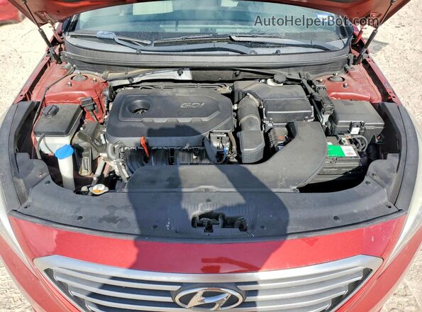 5NPE24AF4GH363831 2016 HYUNDAI SONATA Burgundy Սալոնի հետևի տեսք