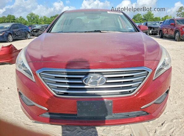 5NPE24AF4GH363831 2016 HYUNDAI SONATA Burgundy Դիմացի տեսք