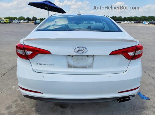 5NPE24AF4GH367636 2016 HYUNDAI SONATA Белый Вид сзади
