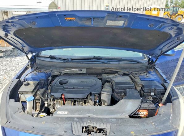 5NPE24AF4GH371203 2016 HYUNDAI SONATA Blue Սալոնի հետևի տեսք