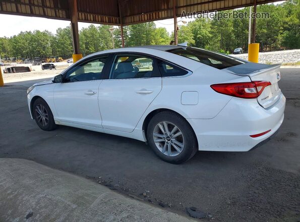 5NPE24AF5GH274169 2016 HYUNDAI SONATA White უკანა მარცხენა
