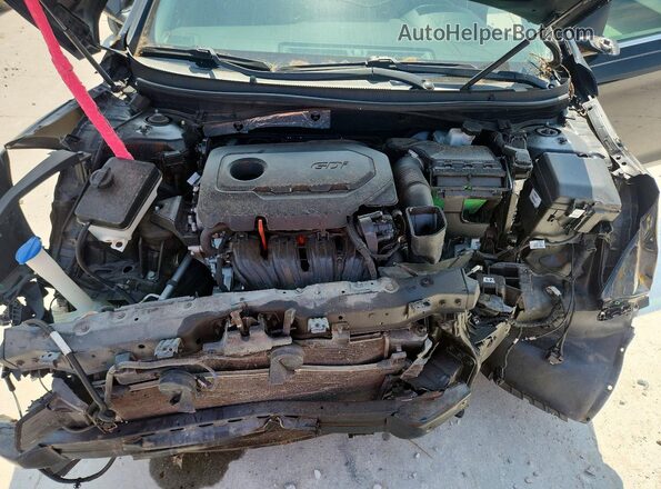 5NPE24AF5GH302519 2016 HYUNDAI SONATA Black Вид задньої частини салону