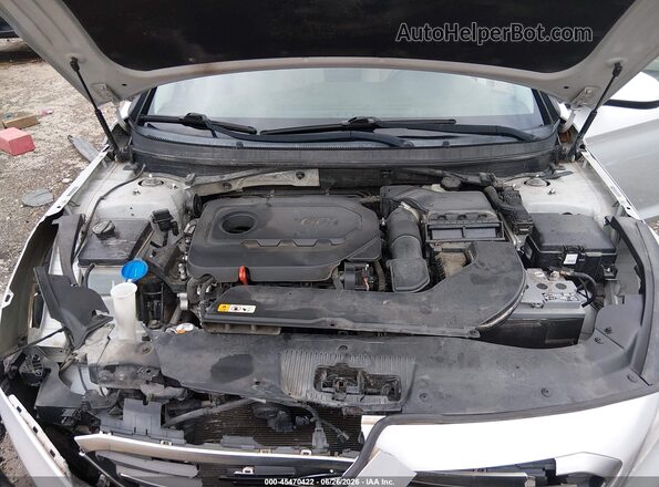 5NPE24AF5GH303914 2016 HYUNDAI SONATA Серебряный Вид сзади