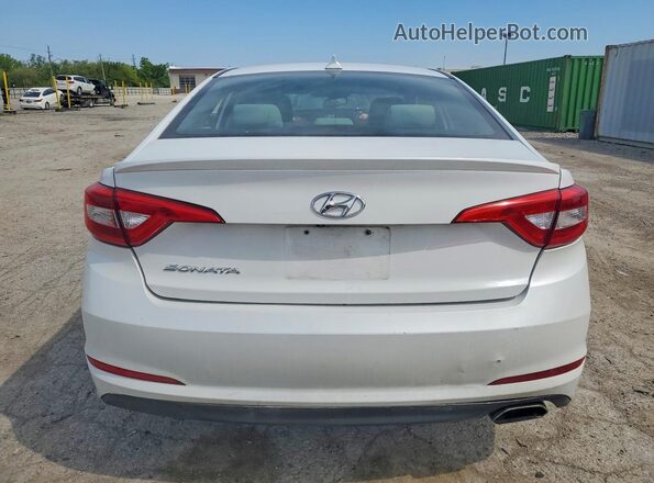 5NPE24AF5GH339263 2016 HYUNDAI SONATA White 