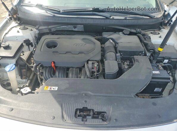 5NPE24AF5GH339263 2016 HYUNDAI SONATA White 
