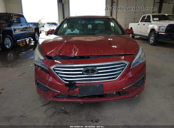5NPE24AF5GH373784 2016 HYUNDAI SONATA Red Вид задньої частини салону