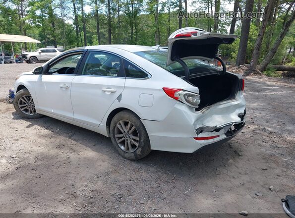 5NPE24AF5GH374207 2016 HYUNDAI SONATA White Հետևի ձախ